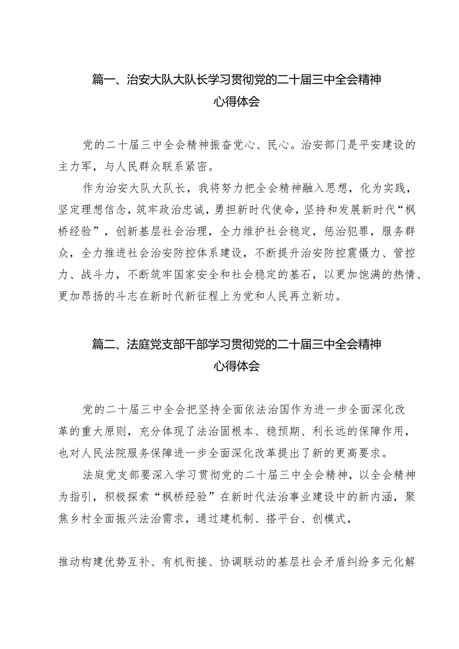 治安大队大队长学习贯彻党的二十三中全会精神心得体会（共14篇）.docx_第2页
