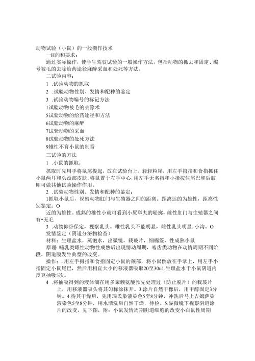 原生动物实验报告.docx