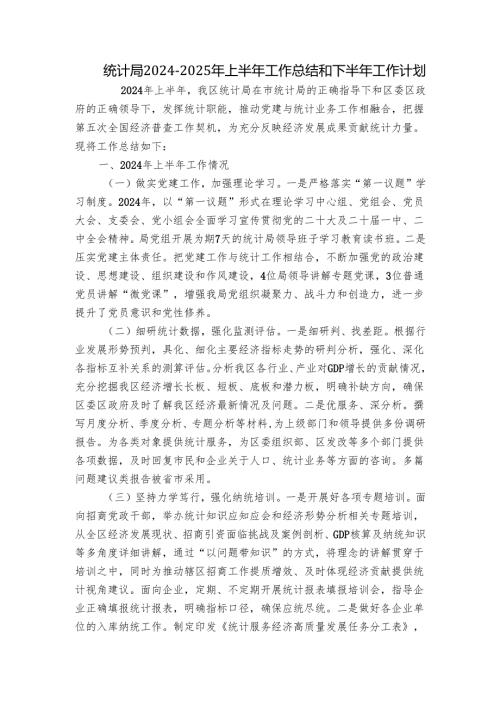 统计局20242025年上半年工作总结和下半年工作计划.docx
