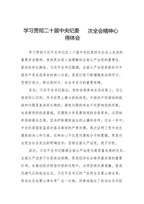 纪检干部学习二十中央纪委四次全会精神心得感悟十三篇.docx