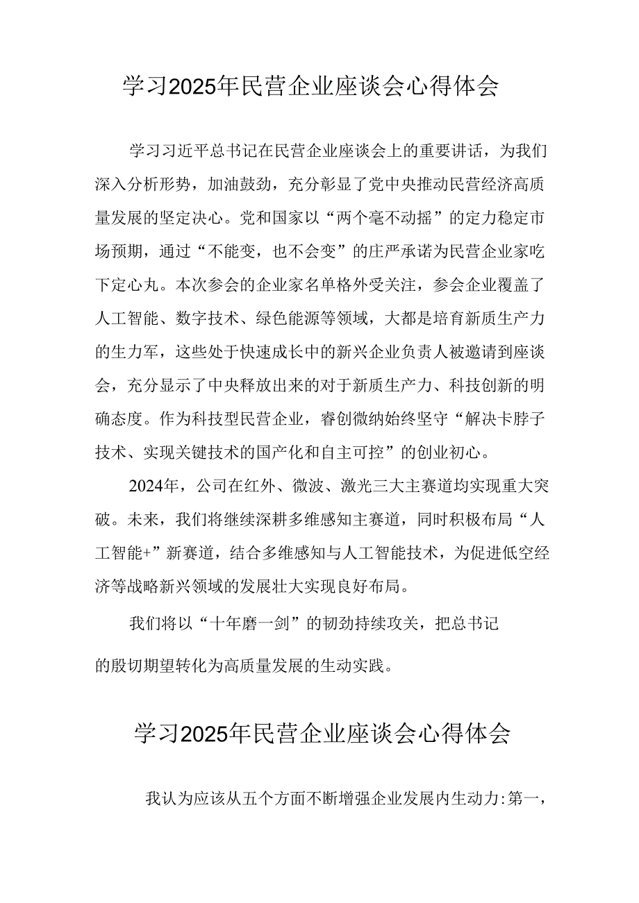民营企业2025年学习《民营企业座谈会》个人心得感悟 （5份）73(1).docx_第2页