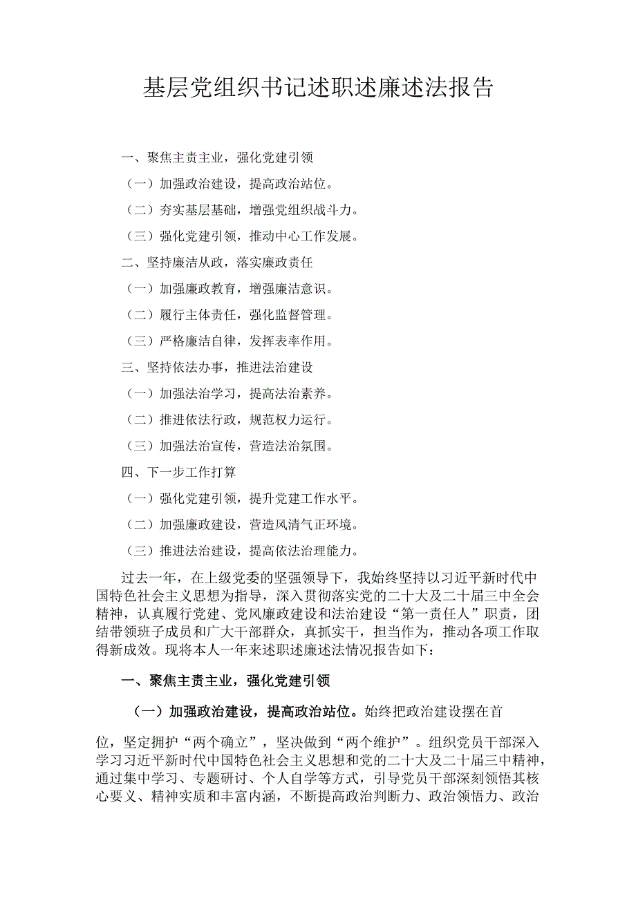 基层党组织书记述职述廉述法 报告.docx_第1页