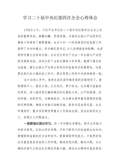 纪检干部学习二十中央纪委四次全会个人心得体会 汇编17份.docx