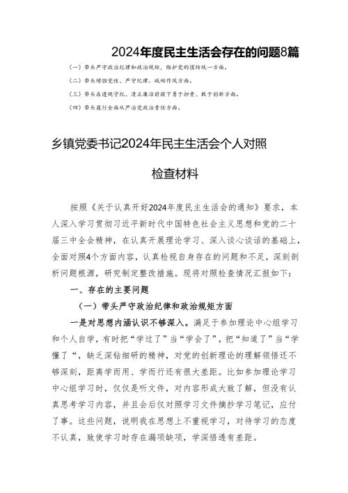 2024民主生活存在的问题8篇.docx