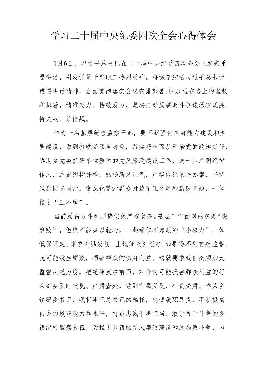 纪检干部学习二十中央纪委四次全会个人心得体会 （汇编15份）.docx_第3页