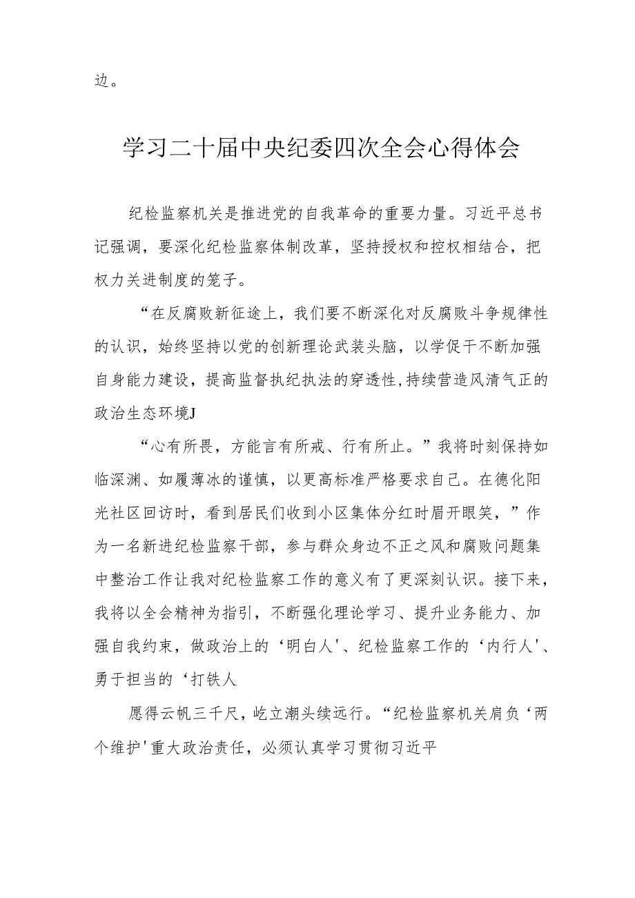 学习《二十中央纪委四次全会》个人心得体会.docx_第2页