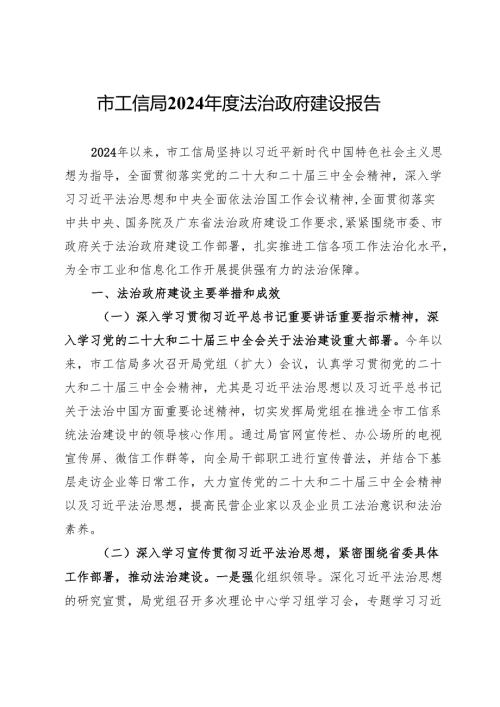 市工信局2024法治政府建设报告.docx