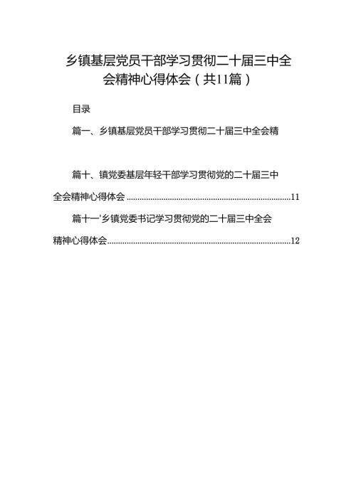 （11篇）乡镇基层党员干部学习贯彻二十三中全会精神心得体会范文.docx