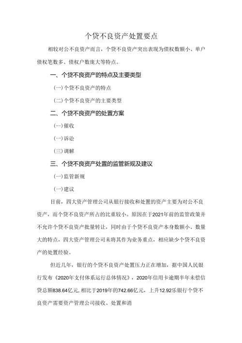 个贷不良资产处置要点.docx
