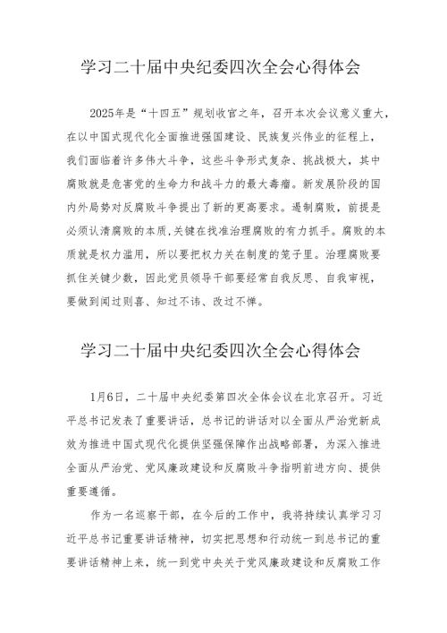 学习二十中央纪委四次全会个人心得体会 （汇编16份）.docx