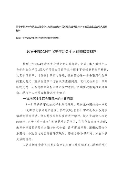 公司一把手、民政局党组书记、领导干部2024年民主生活会个人对照检查材料.docx