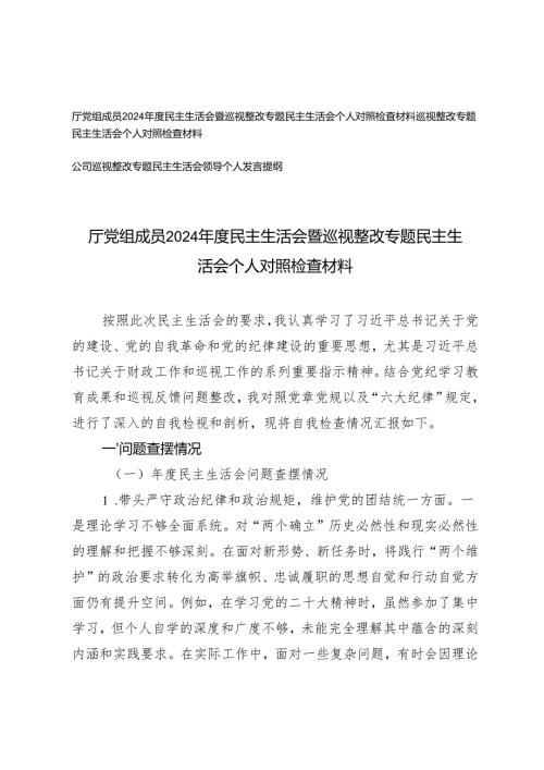 厅党组成员、公司2024民主生活会暨巡视整改专题民主生活会个人对照检查材料发言提纲.docx