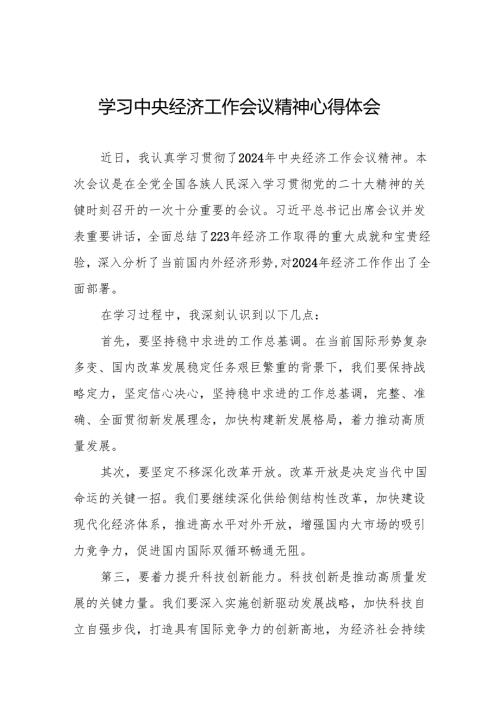 九篇学习2024年中央经济工作会议精神心得体会精品范文.docx