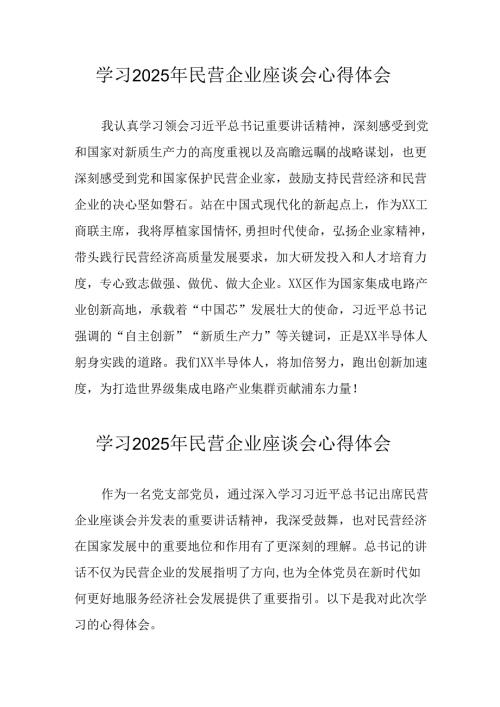 2025年私营企业学习《民营企业座谈会》个人心得体会 （12份）.docx