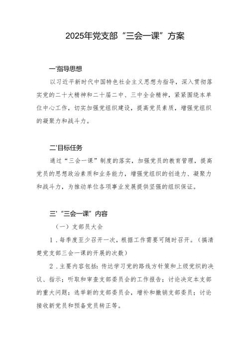 2025年党支部“三会一课”方案.docx