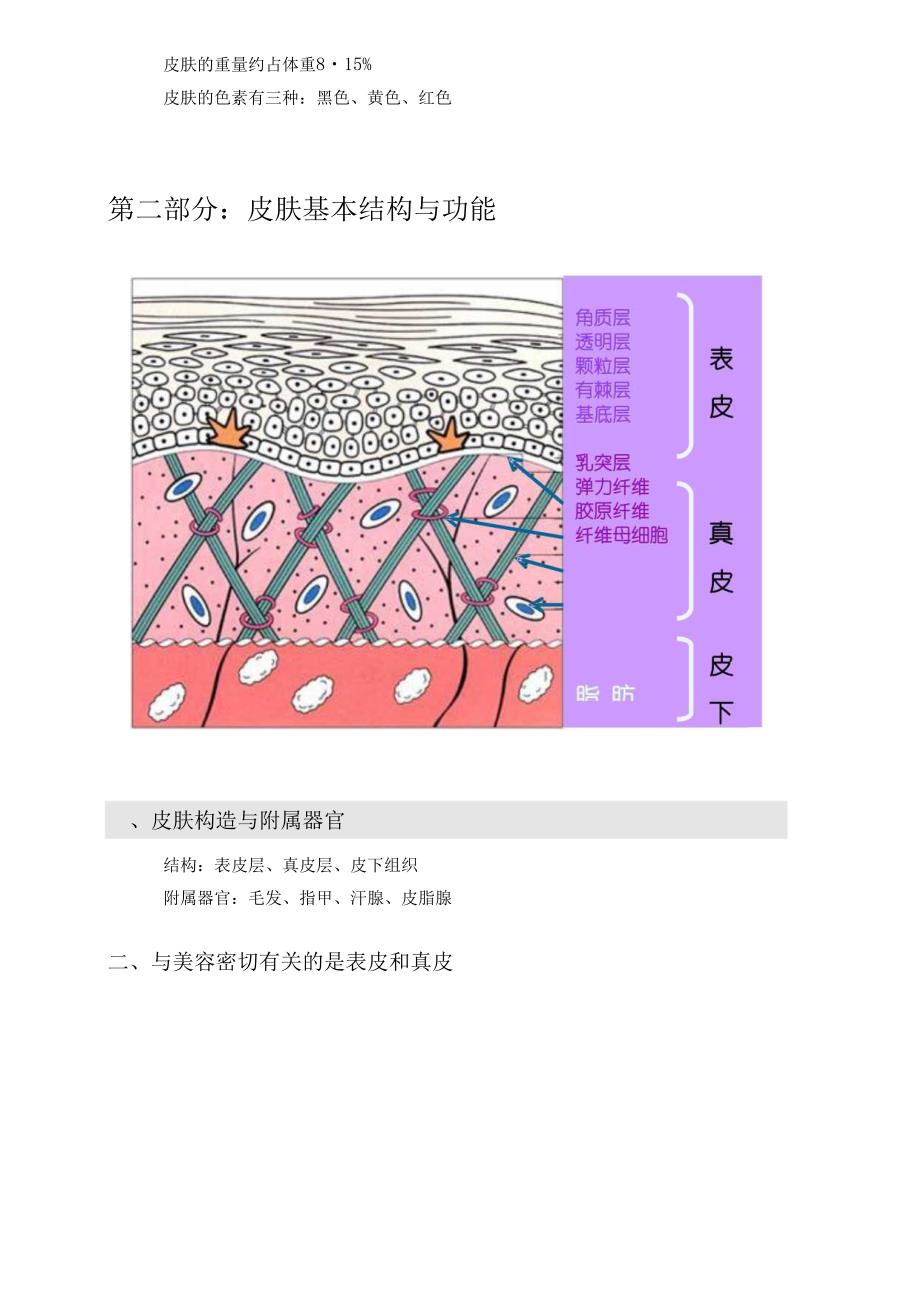 医美皮肤美容皮肤基础知识课件.docx_第3页