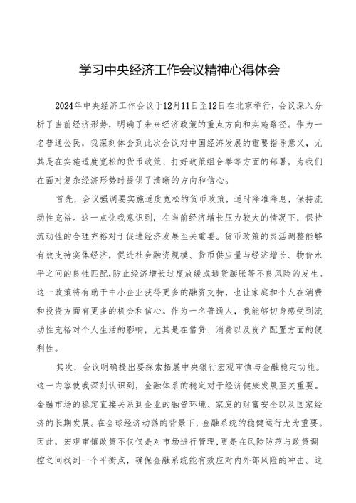 九篇2024年学习贯彻中央经济工作会议精神心得体会发言稿.docx