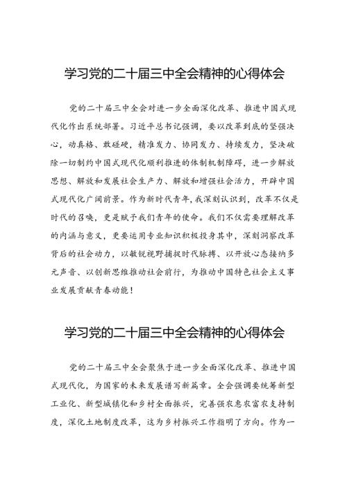 党员干部学习贯彻党的二十三中全会精神心得体会范本六十篇.docx