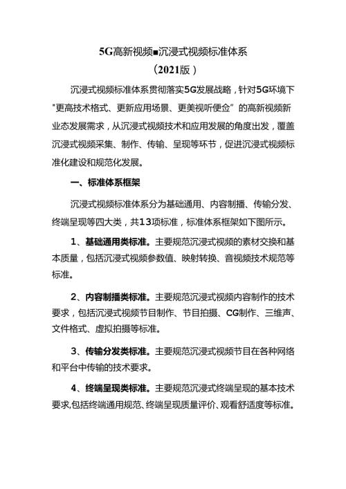 5G高新视频沉浸式视频标准体系（2021版）.docx