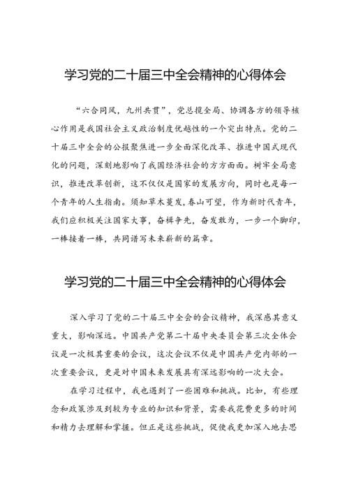 关于2024学习贯彻党的二十三中全会精神的心得体会二十六篇.docx