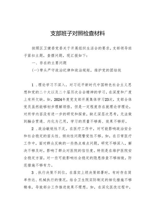 2024组织生活会支部班子对照检查材料.docx