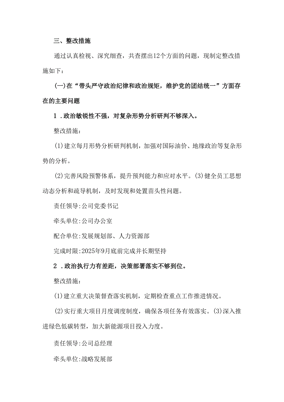 公司领导班子2025年围绕“四个带头”主题检视问题整改落实方案.docx_第2页