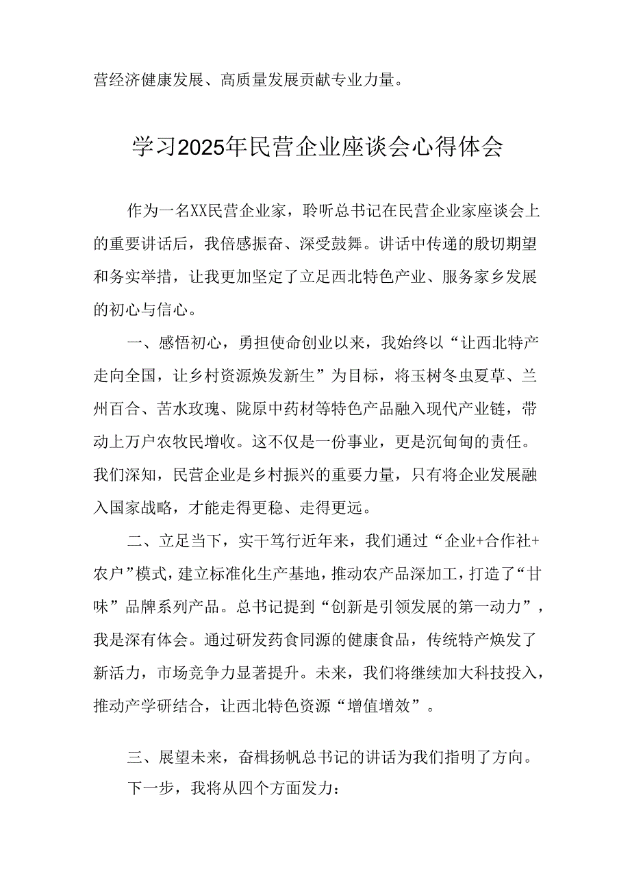 2025年私营企业学习民营企业座谈会个人心得感悟 合计12份.docx_第3页