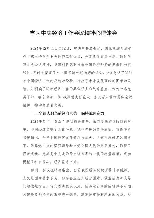 2024年中央经济工作会议精神学习体会发言稿6篇.docx