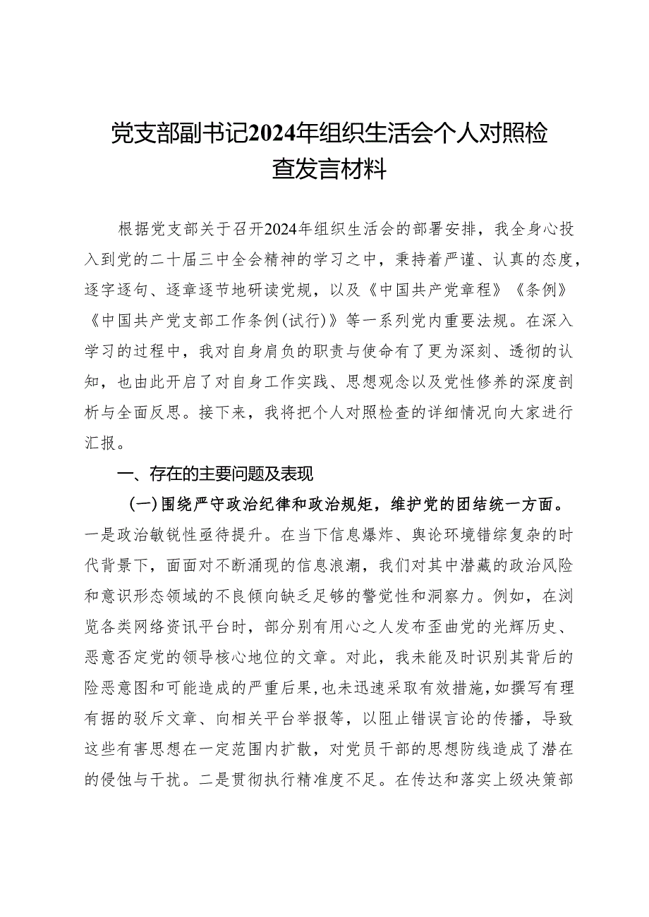 党支部副书记2024年组织生活会个人对照检查发言材料.docx_第1页