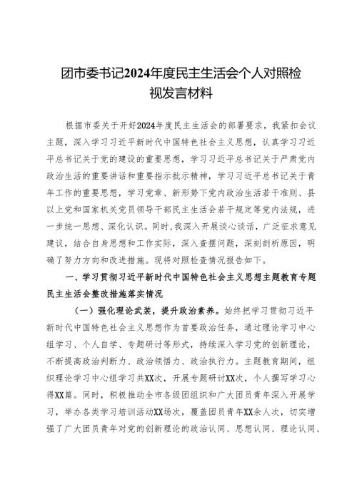 团市委书记2024民主生活会个人对照检视发言材料(1).docx