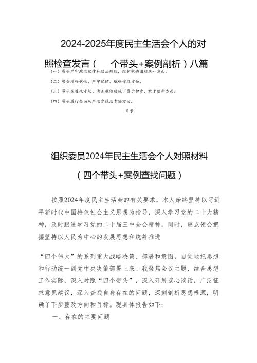20242025民主生活个人的检查发言（四个带头+案例剖析）八篇.docx