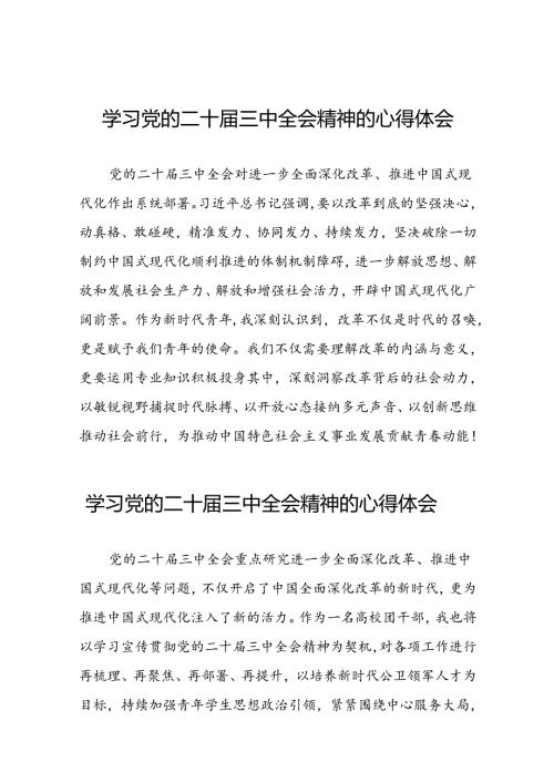 党员干部关于二十三中全会精神的心得体会六十篇.docx