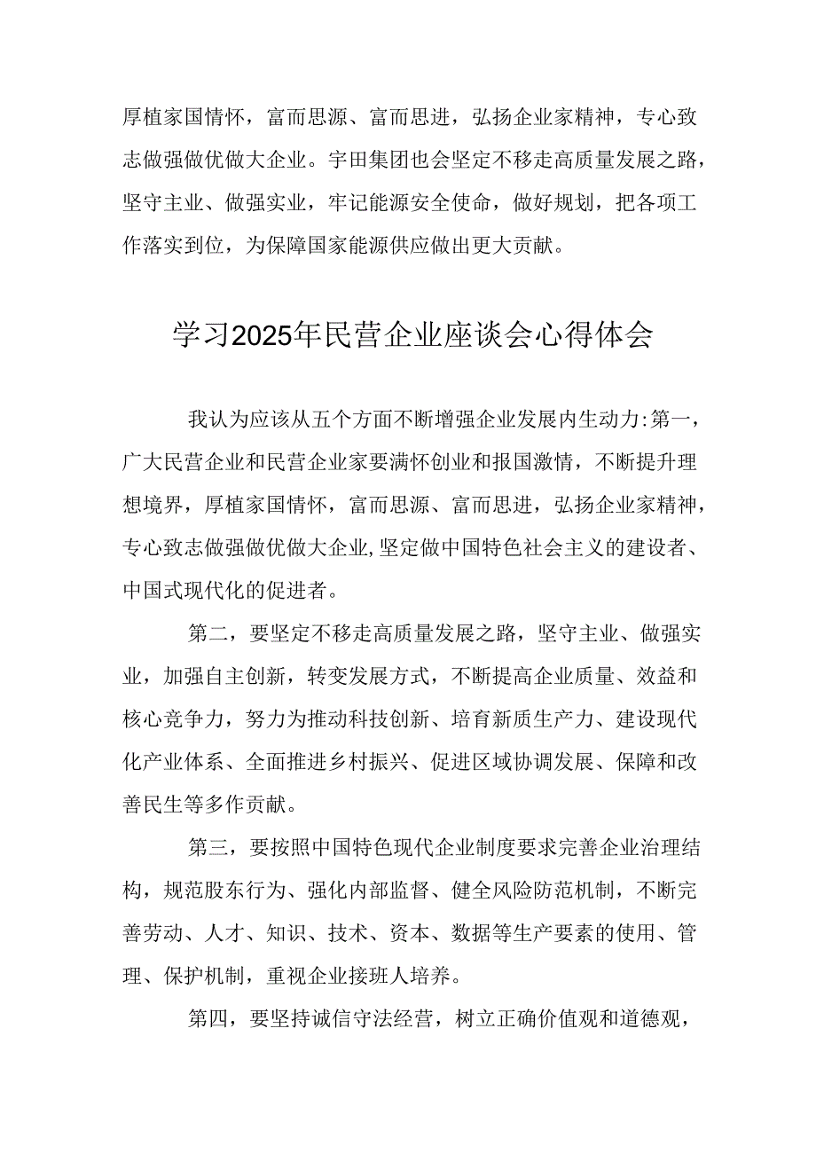 民营企业2025年学习《民营企业座谈会》个人心得体会 （汇编10份）.docx_第2页