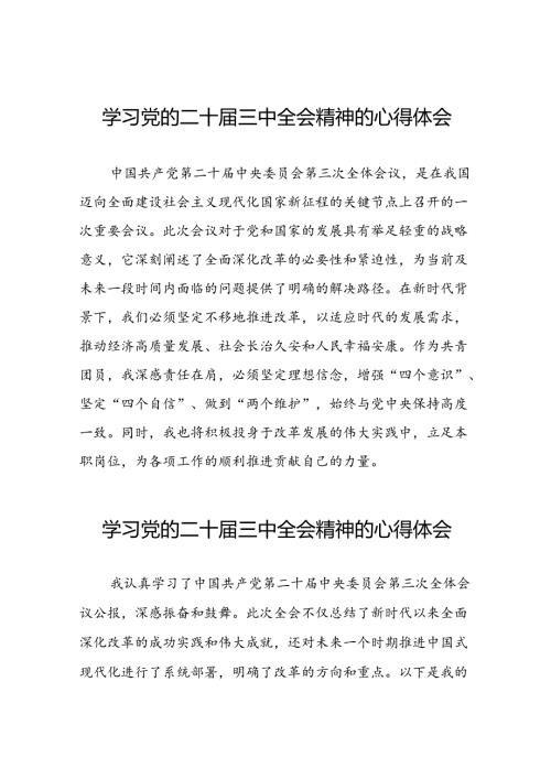 党员干部学习党的二十三中全会精神的心得感悟十七篇.docx