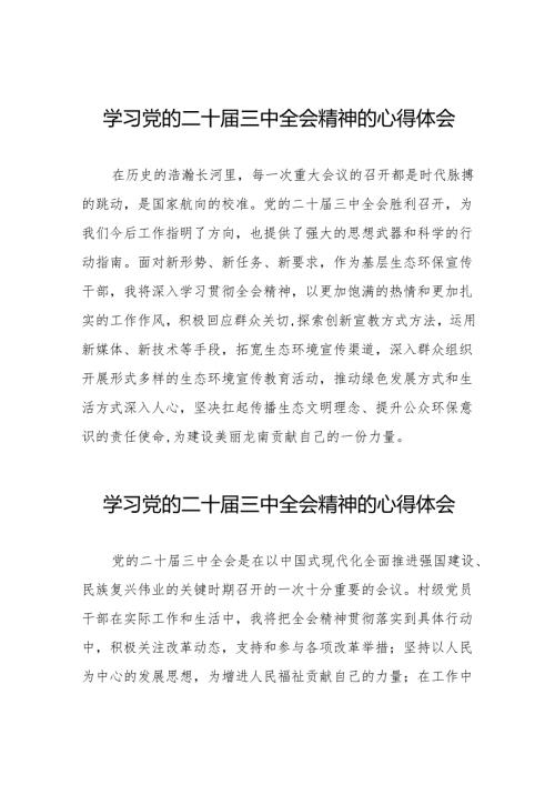 二十三中全会精神学习体会简短发言稿模板32篇.docx