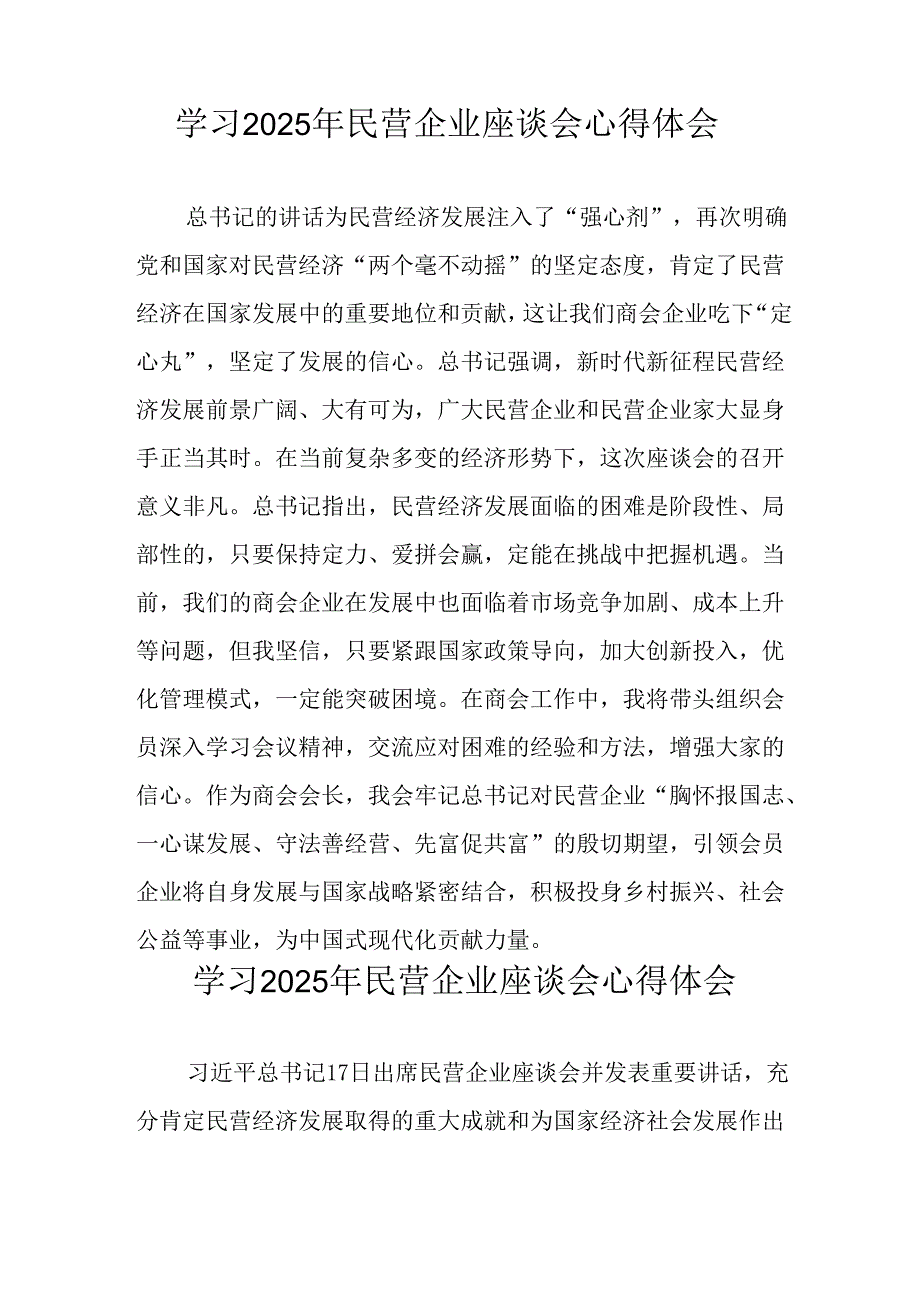 2025年私营企业学习《民营企业座谈会》个人心得体会 （合计12份）.docx_第3页