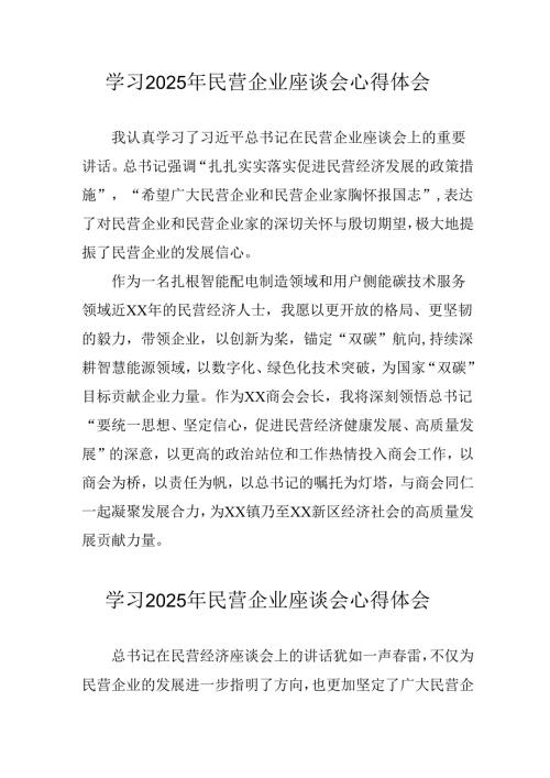 2025年私营企业学习《民营企业座谈会》个人心得体会 汇编6份.docx