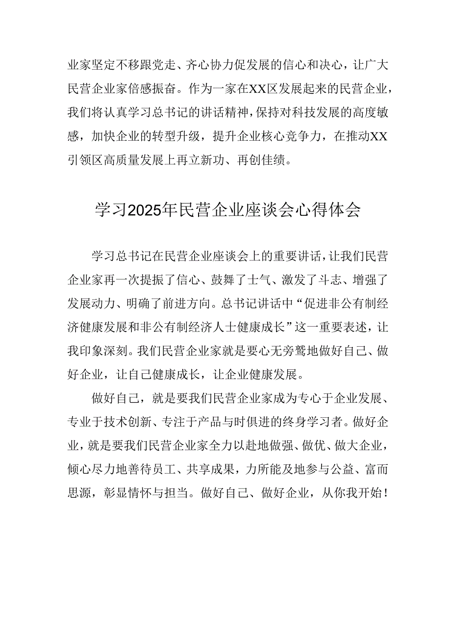 2025年私营企业学习《民营企业座谈会》个人心得体会 汇编6份.docx_第2页