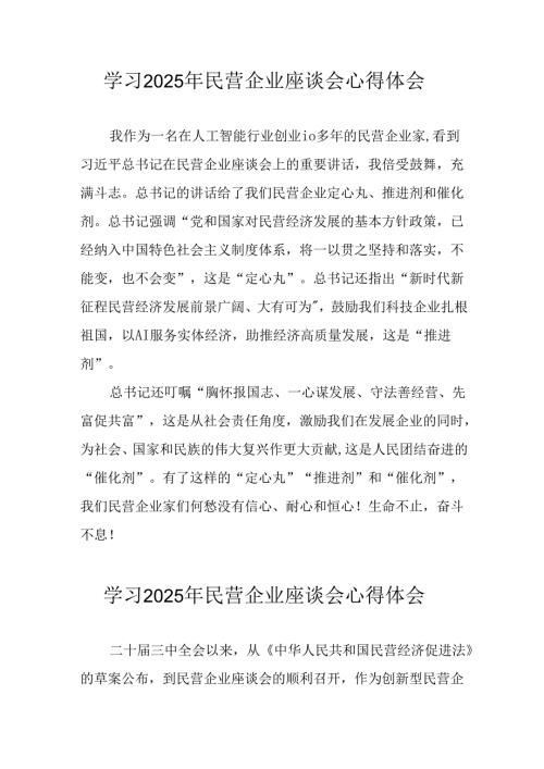 民营企业2025年学习《民营企业座谈会》个人心得感悟 （6份）51.docx