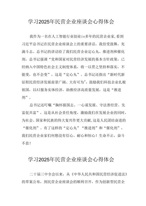 2025年私营企业学习民营企业座谈会个人心得体会 （10份）.docx