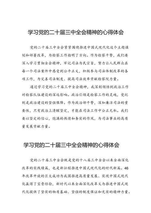 关于党的二十三中全会精神最新版心得体会发言稿模板28篇.docx