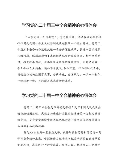 关于2024学习贯彻党的二十三中全会精神的心得体会28篇.docx