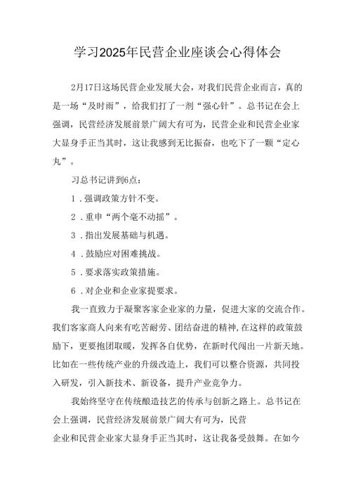 民营企业2025年学习《民营企业座谈会》个人心得感悟 （5份）94.docx