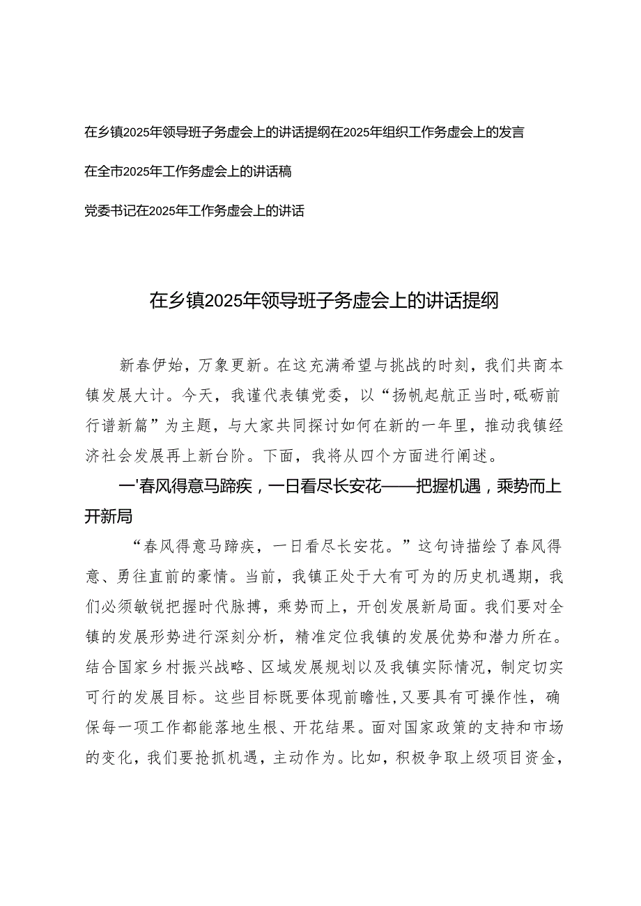 (4篇） 在2025年领导班子务虚会上的讲话提纲.docx_第1页