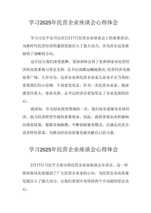 2025年私营企业学习《民营企业座谈会》个人心得体会 （合计7份）.docx