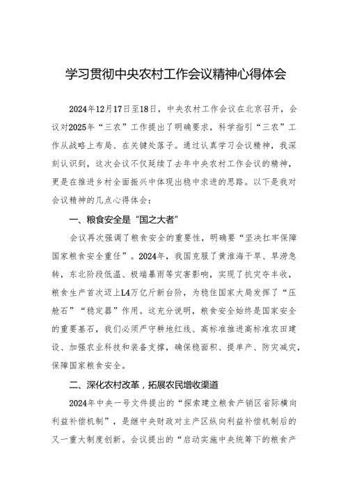 两篇村干部学习贯彻中央农村工作会议精神心得体会最新.docx