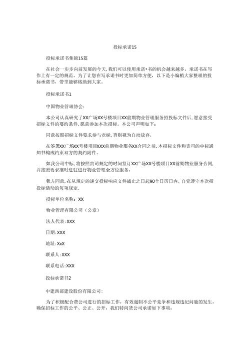投标承诺书 (2).docx