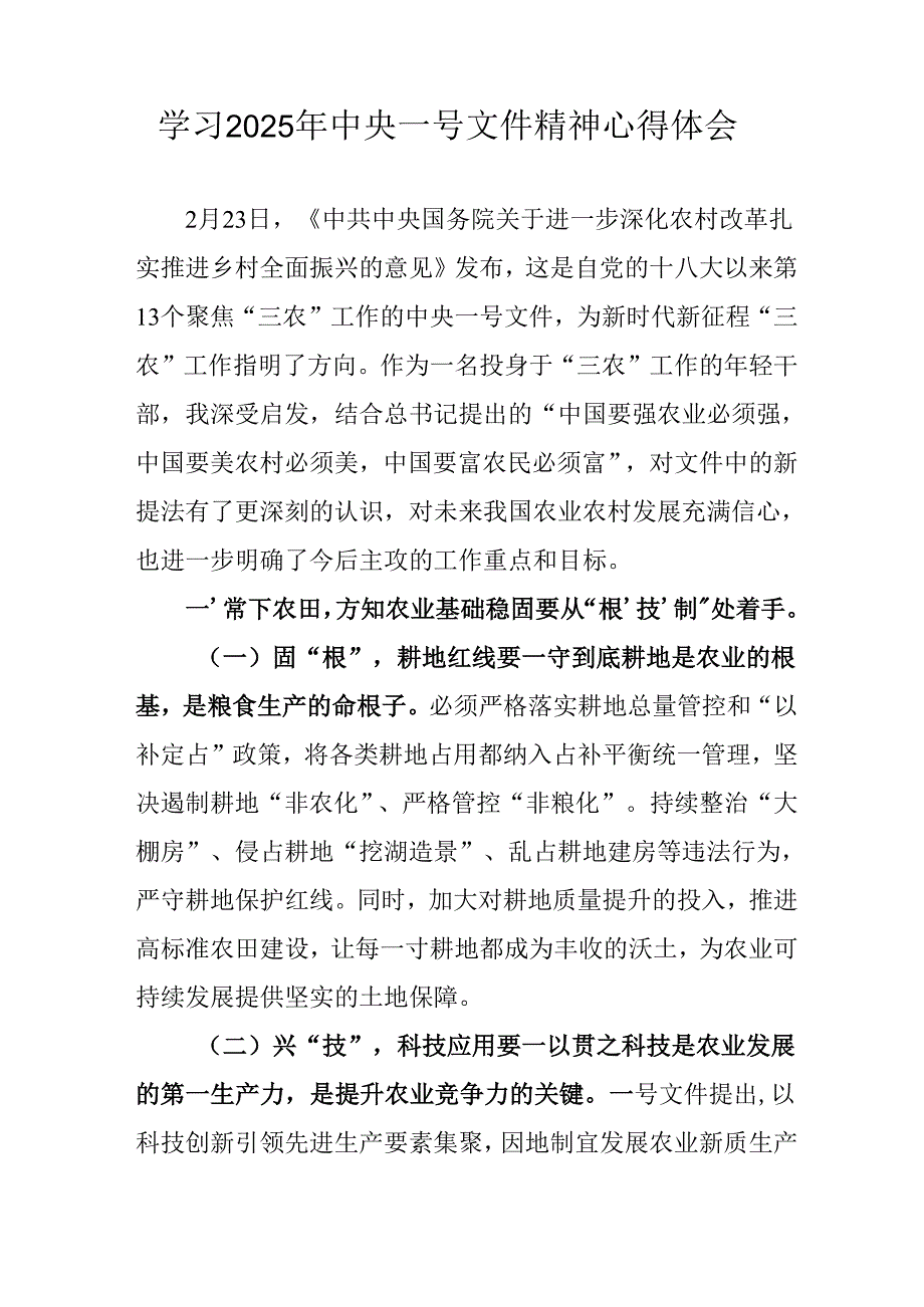 学习2025年《中央一号文件》精神个人心得体会 （汇编2份）.docx_第3页
