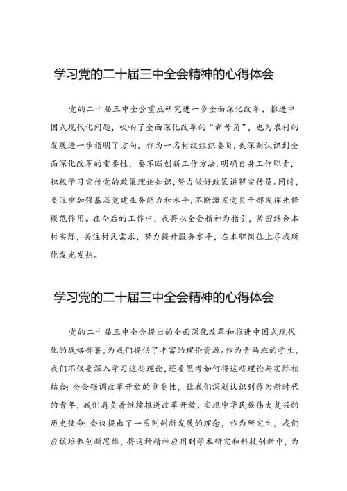 学习贯彻2024年二十三中全会精神心得感悟二十七篇.docx