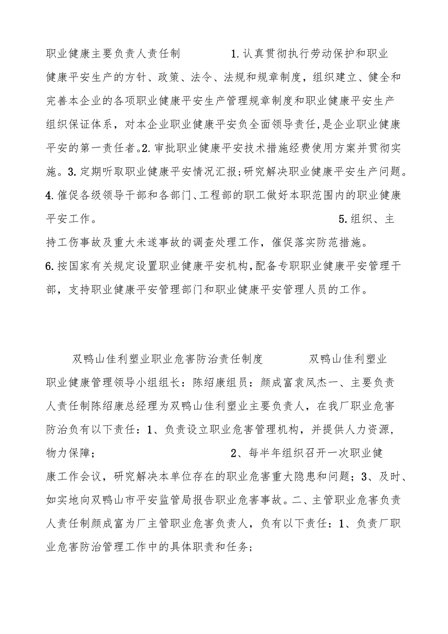 职业健康主要负责人责任制.docx_第1页